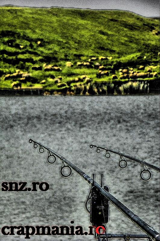 Party Cup (2) - 2013 - 1010397hdrmode2.JPG